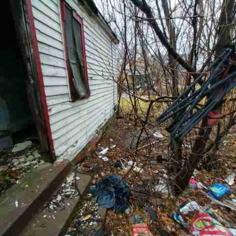 8031 conger (62).jpg